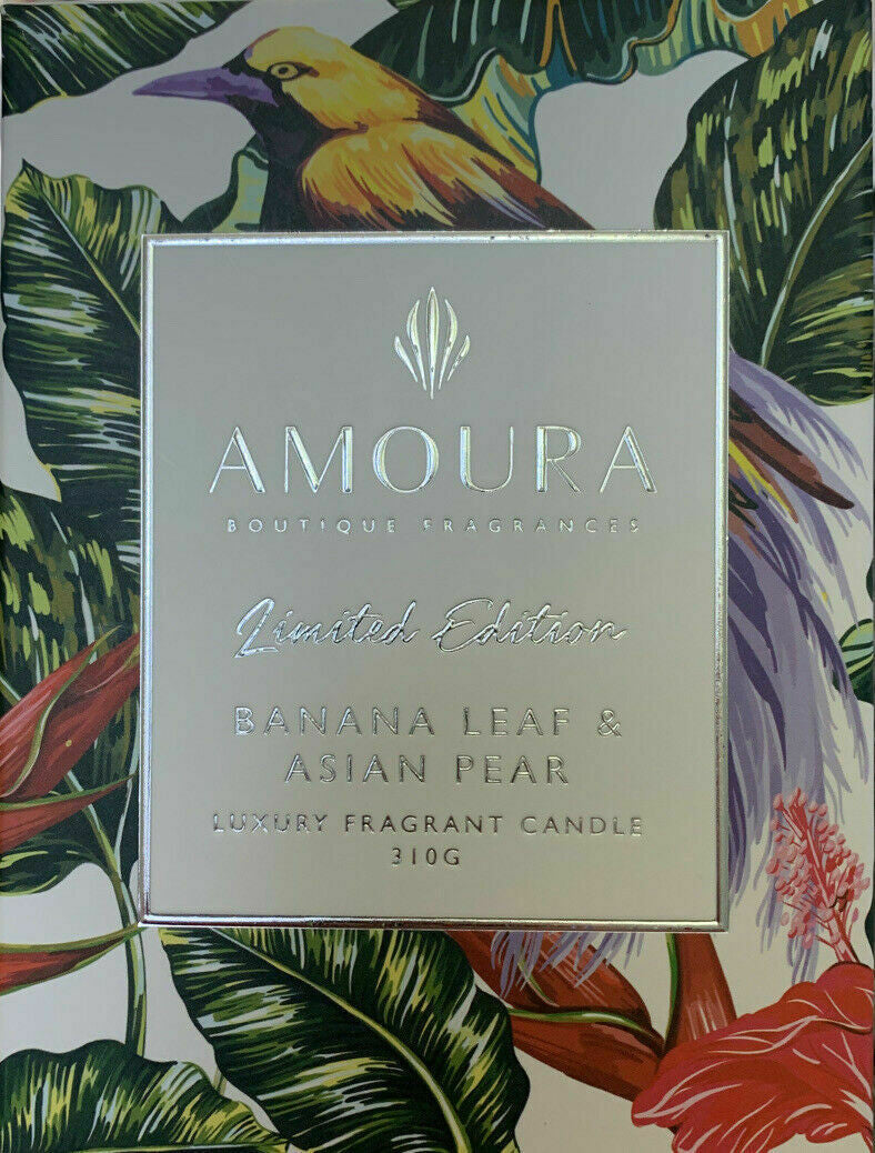 Amoura CANDLE Boutique Fragrances Banana Leaf & Asian Pear 10.9oz/310g