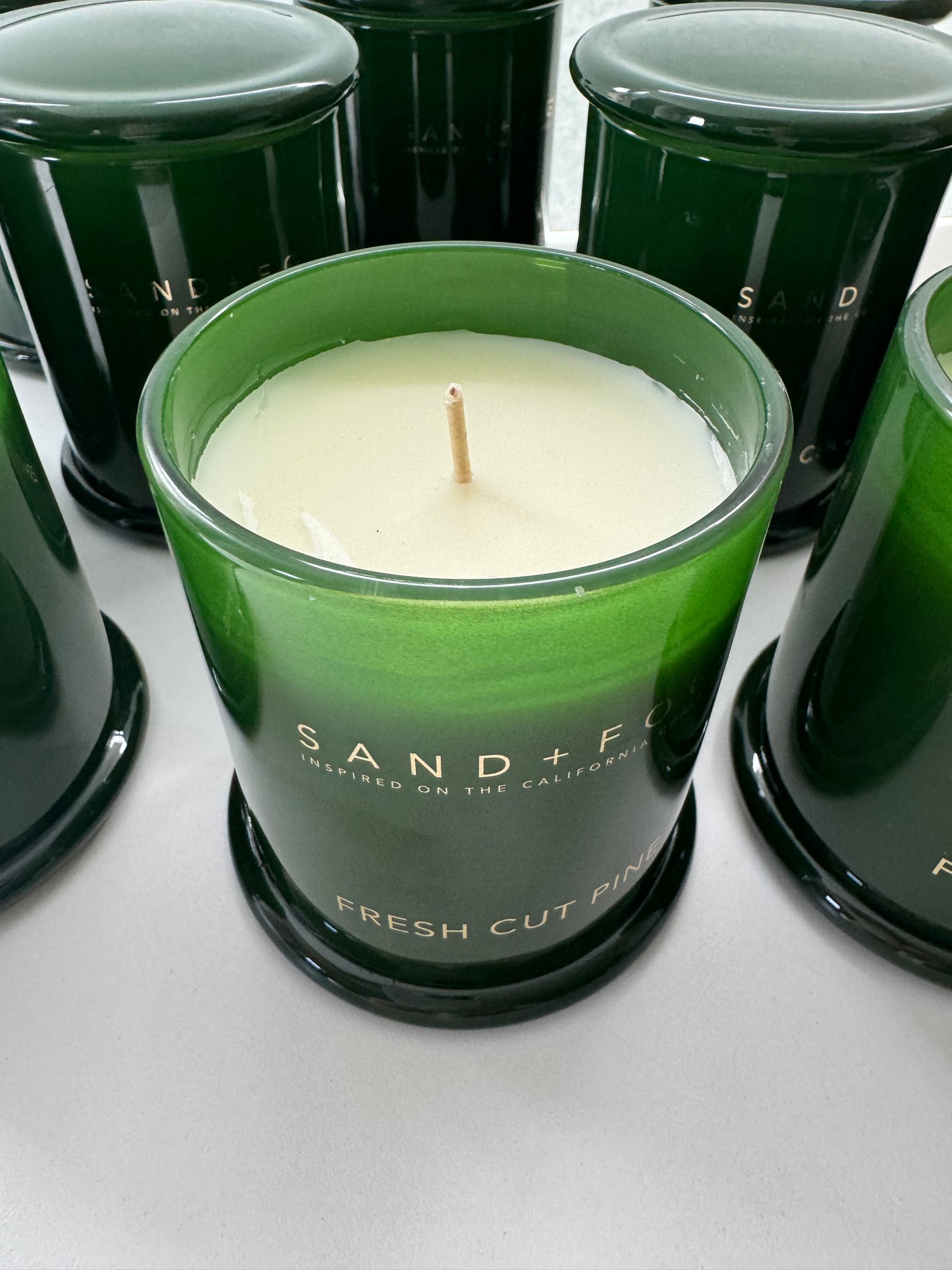 Fresh Cut Pine 10oz Candle – Hand Poured Milk Jar, 1-Wick, Holiday Scent