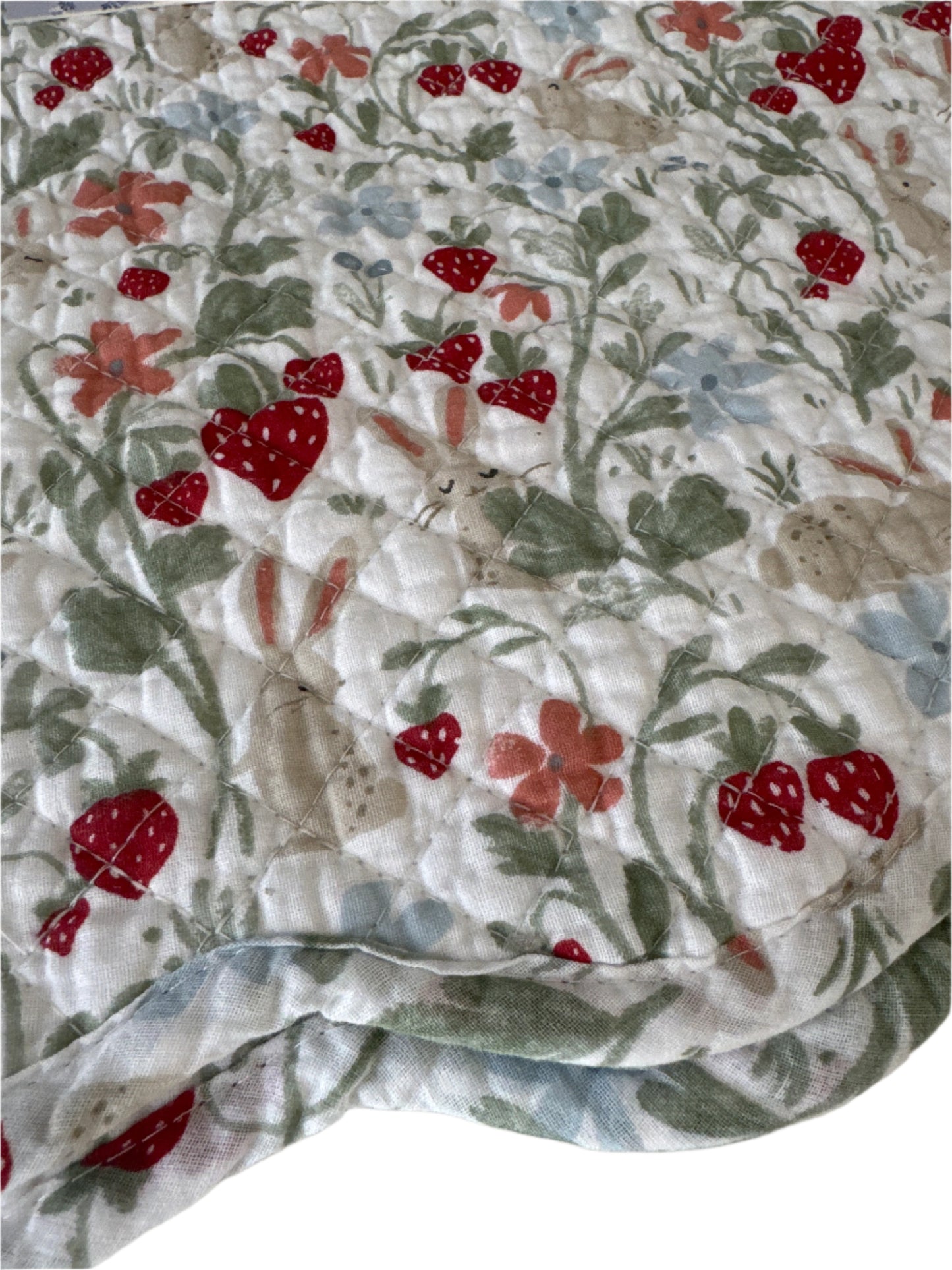 A set of 4 reversible cotton placemats featuring a charming strawberry and floral pattern in red and green, with a scalloped edge. The placemats are packaged with a label reading "Set of 4 Placemat 100% Cotton Shell," measuring 13" x 19"
