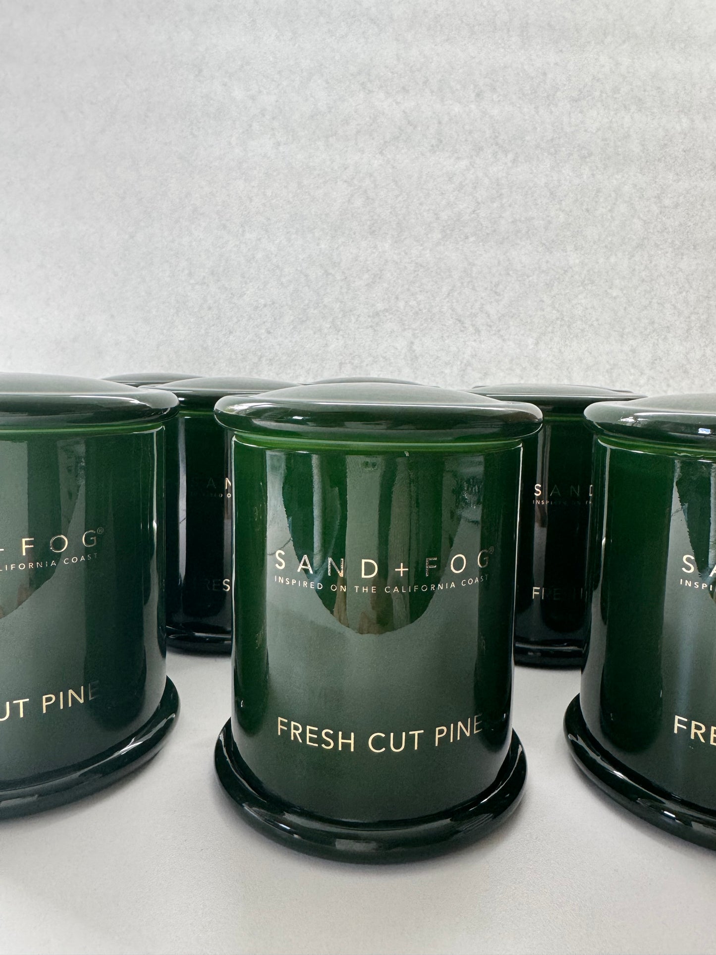 Fresh Cut Pine 10oz Candle – Hand Poured Milk Jar, 1-Wick, Holiday Scent