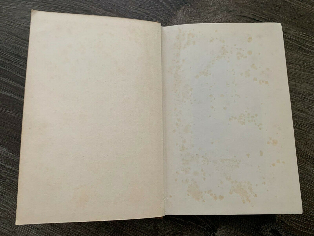 1936 Catherine Tekakwitha by Daniel Sargent 1st edition Longmans, Green and  Co