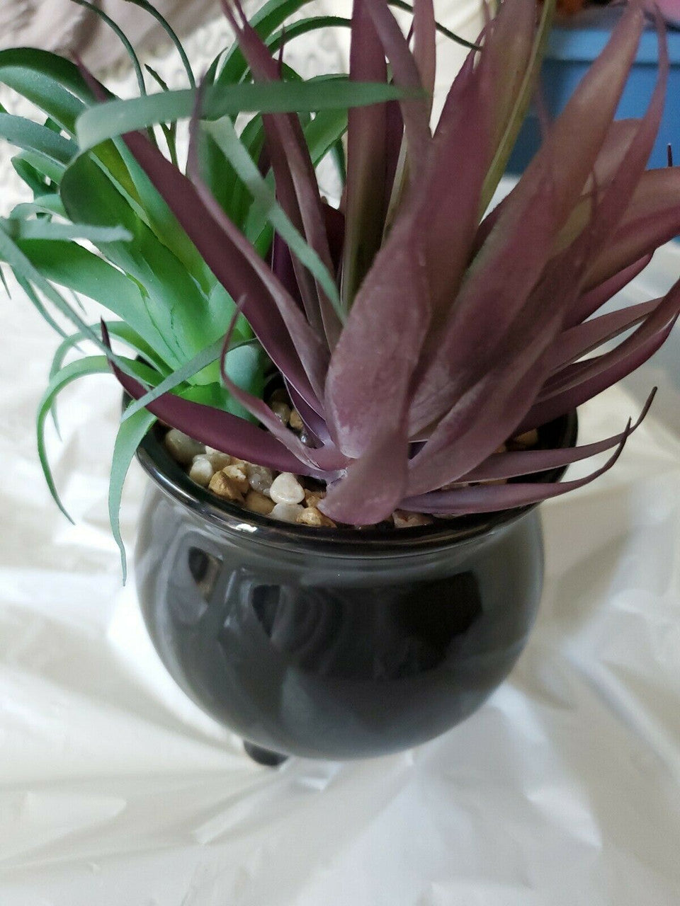 Halloween  Boutique  Black Succulent Plant Planter Happy Halloween