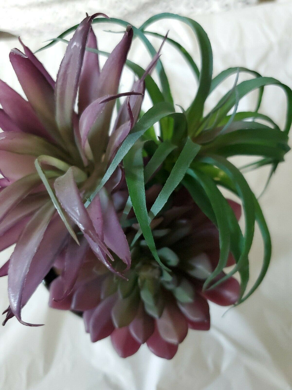Halloween  Boutique  Black Succulent Plant Planter Happy Halloween