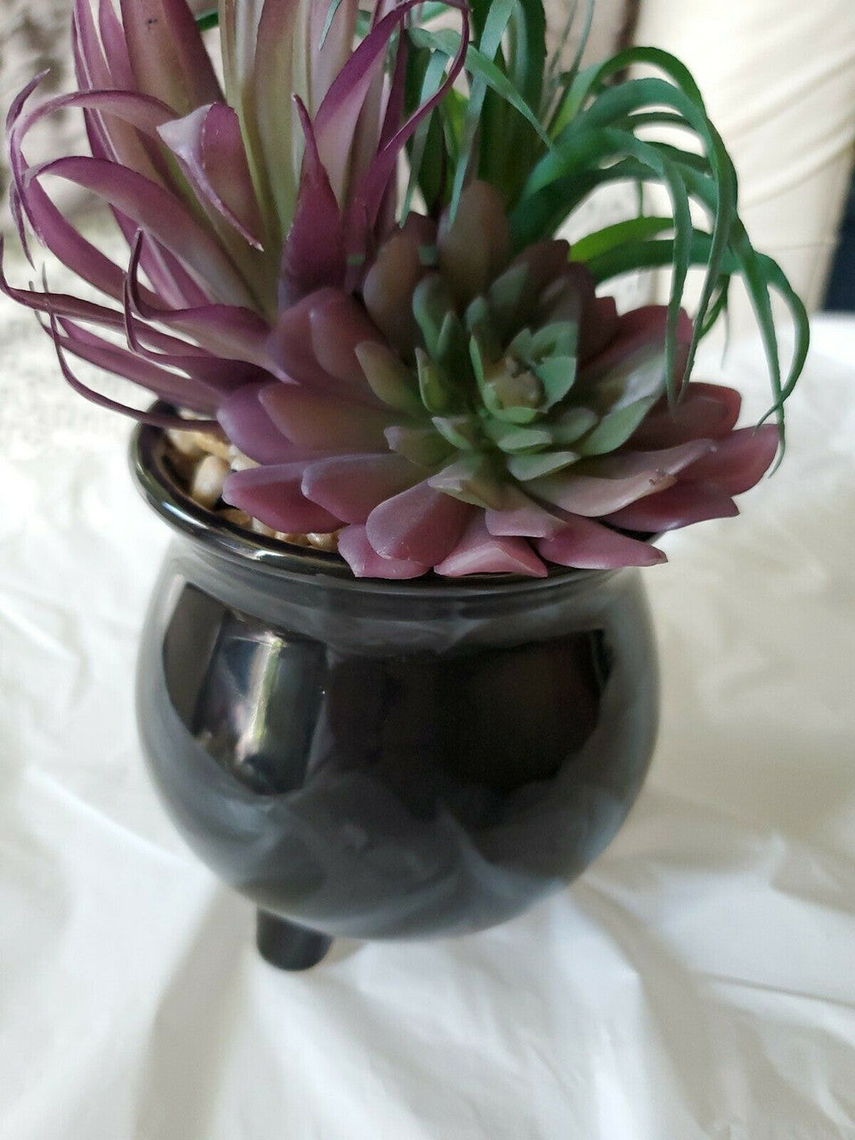 Halloween  Boutique  Black Succulent Plant Planter Happy Halloween