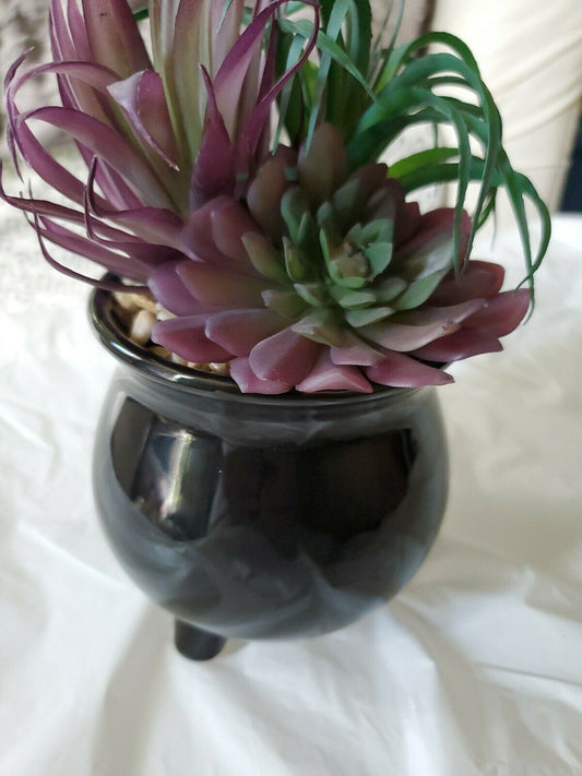 Halloween  Boutique  Black Succulent Plant Planter Happy Halloween