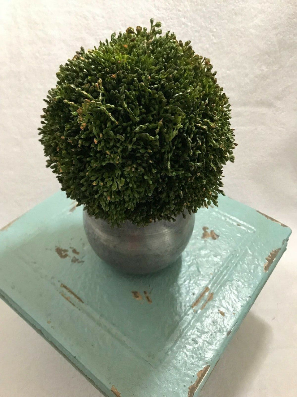 6" Kissing Ball Artificial Green Sedum Pomander Wedding Centerpiece Decor