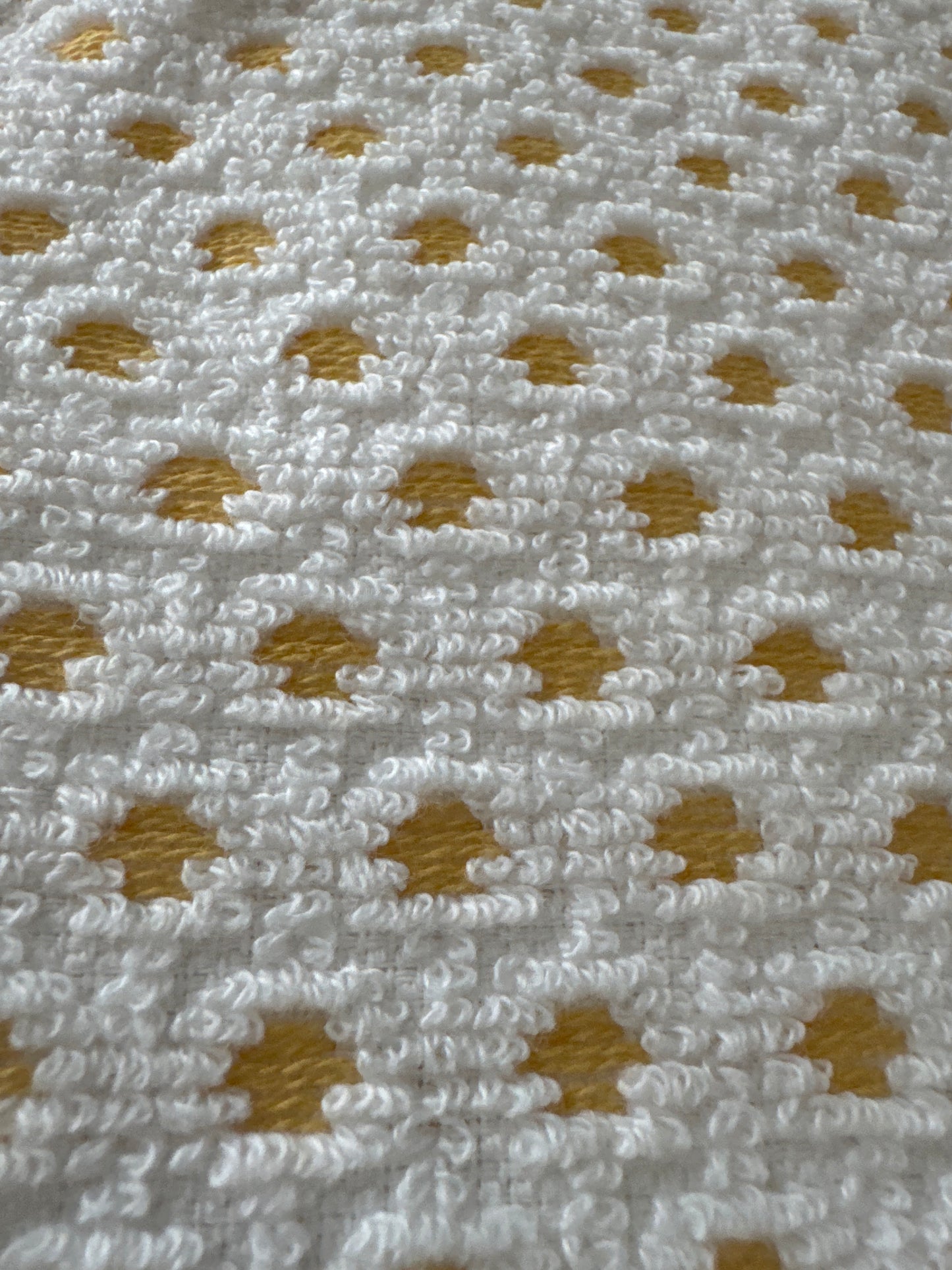 Set of 2 Thick Cotton Kitchen Towels – 19.5" x 27.5", Absorbent & Durable, Everyday Kitchen Use