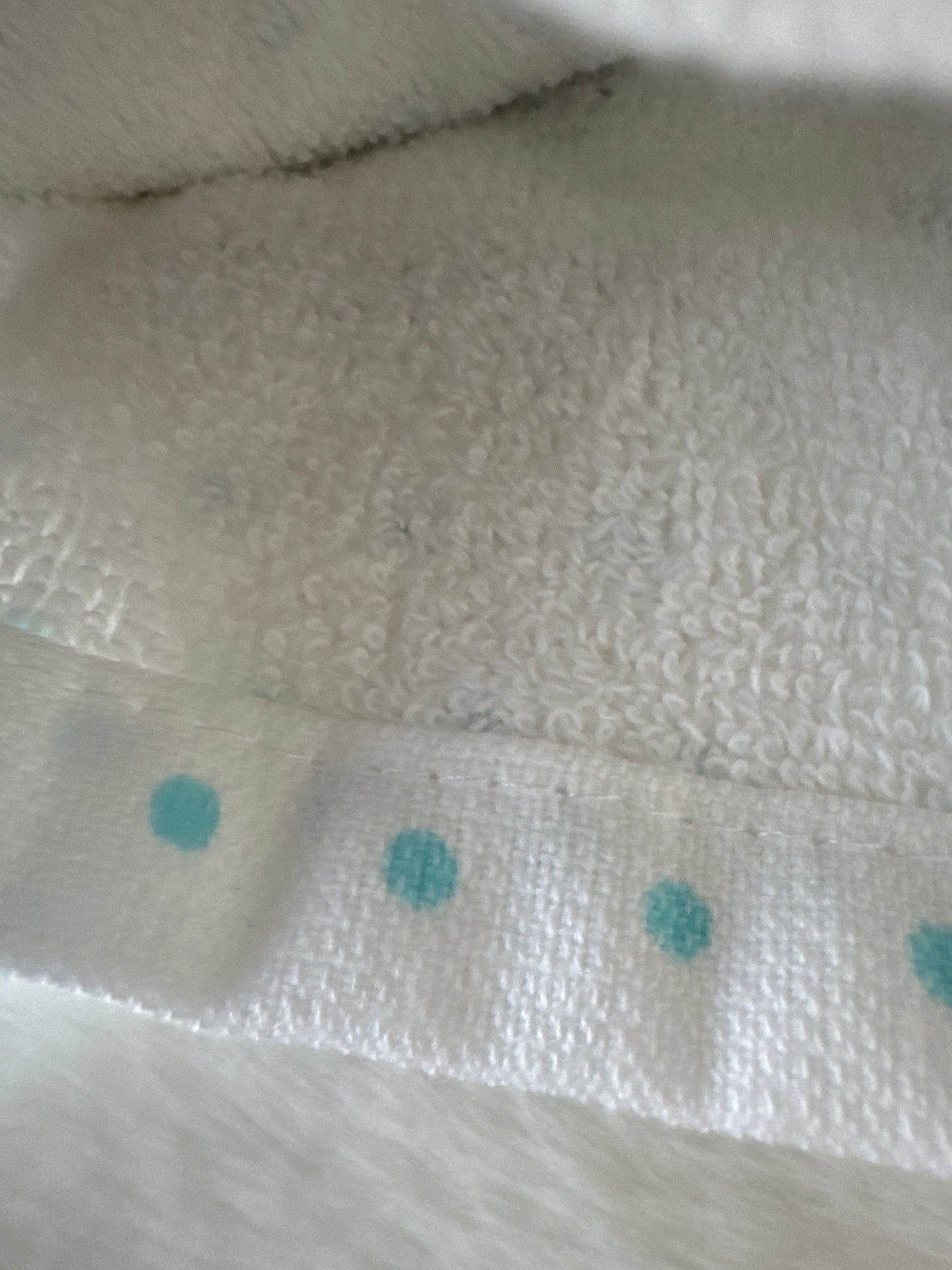 Set of 2 Cotton Kitchen Towels – Classic 18x28” Size, Everyday Use, Soft & Absorbent, Gift-Ready