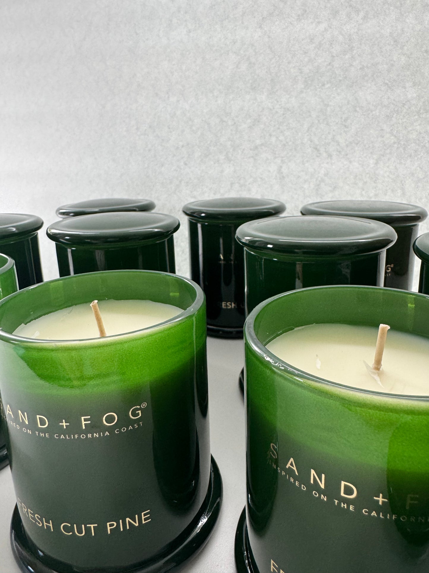 Fresh Cut Pine 10oz Candle – Hand Poured Milk Jar, 1-Wick, Holiday Scent