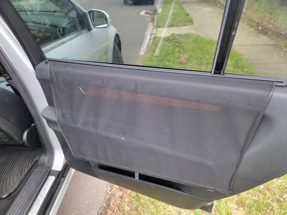 Rear passenger door with mesh sunshade and wood trim on 2009 Mercedes-Benz R350