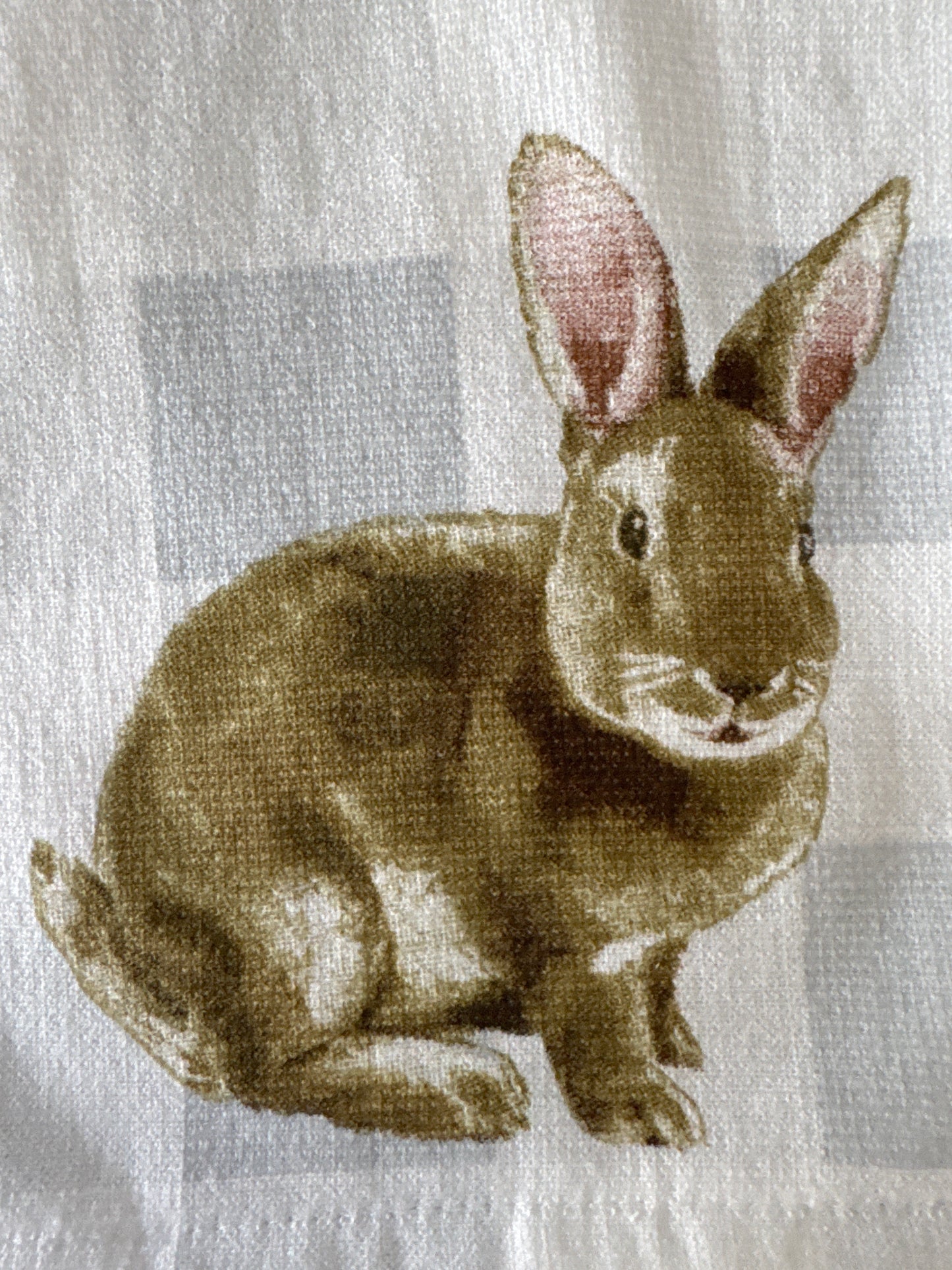 Set of 2 Terry Cotton Kitchen Towels – 18x28” Size, Absorbent, Everyday Use, Soft & Durable