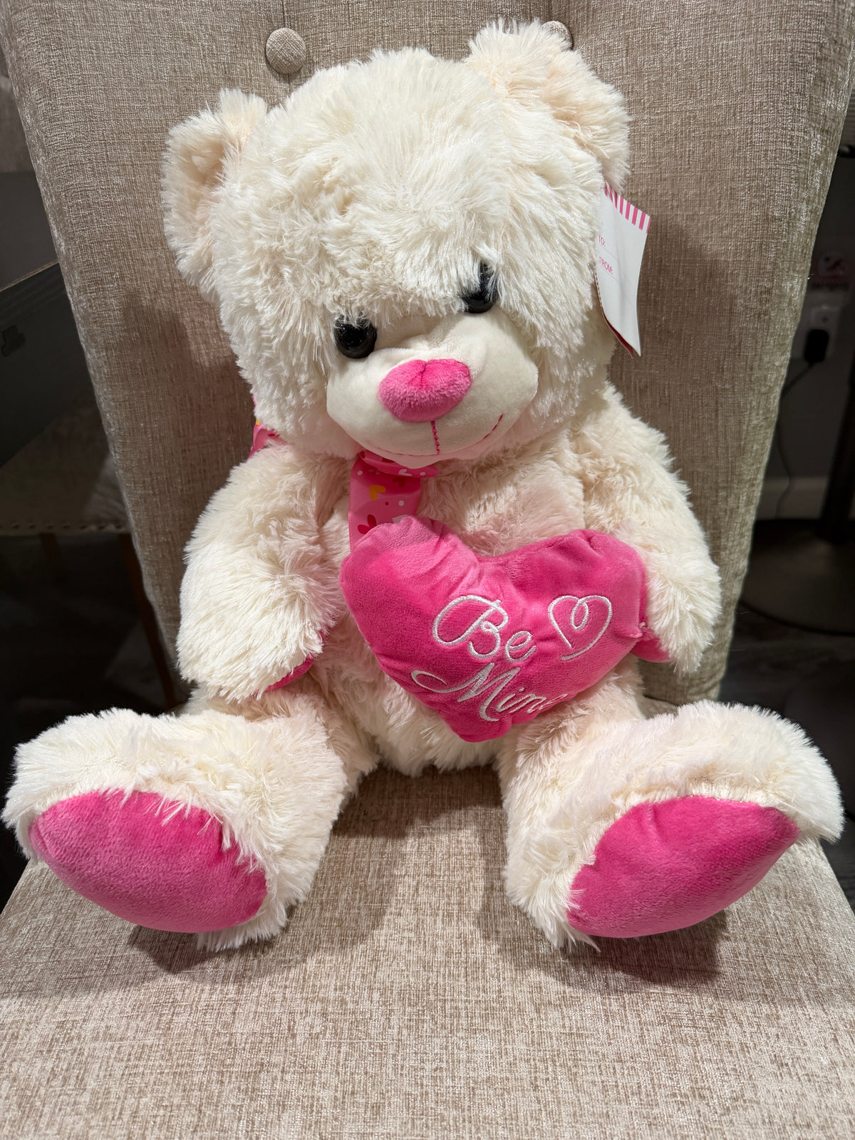 Cream Teddy Bear Plush with Pink “Be Mine” Heart