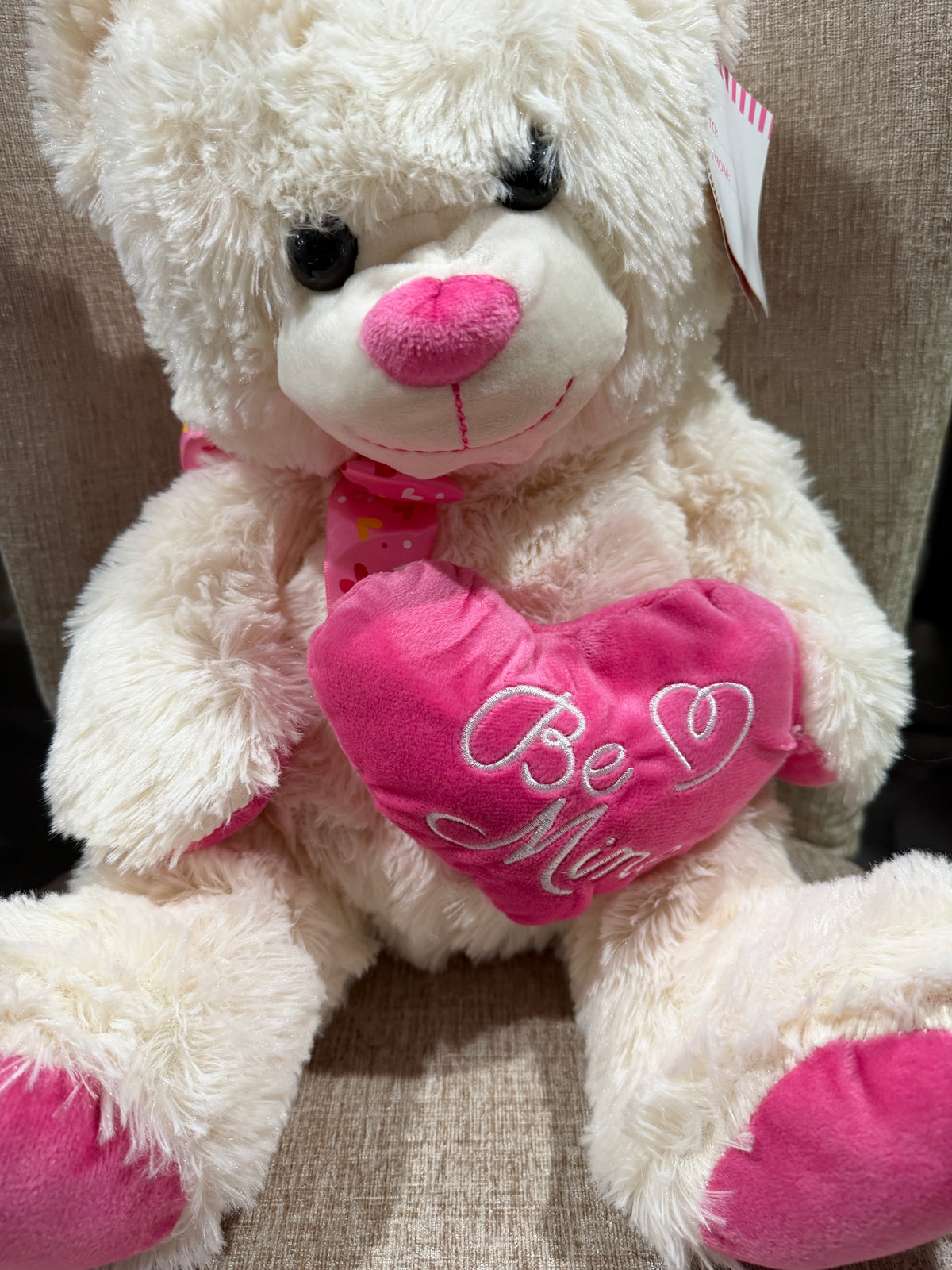 Cream Teddy Bear Plush with Pink “Be Mine” Heart
