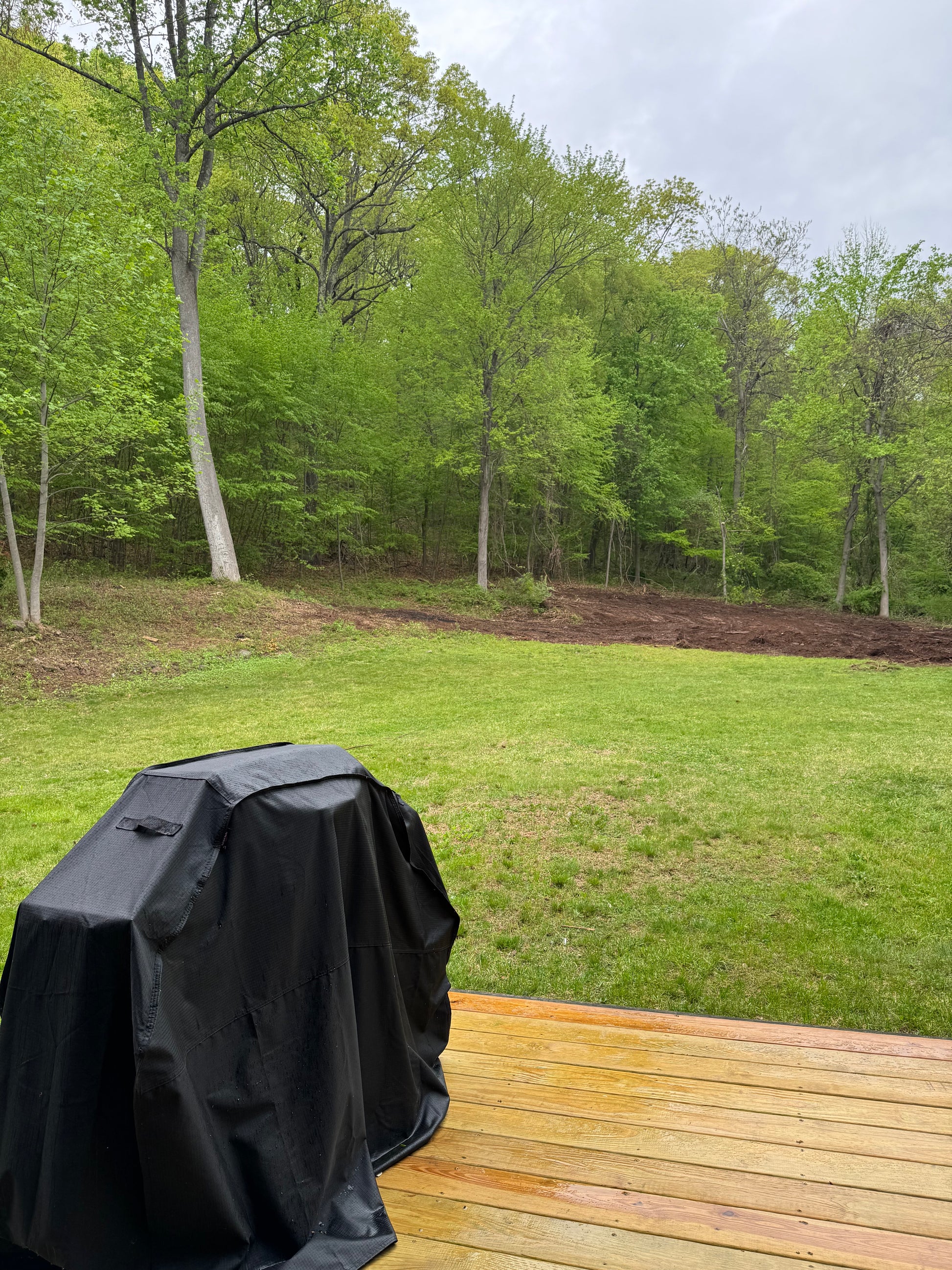 Quiet Cozy Stay Spacious Home Near Beach & Shops – large 4-bedroom vacation rental in Hamden, CT 06514 perfect for families and groups, private setting near shoreline and stores