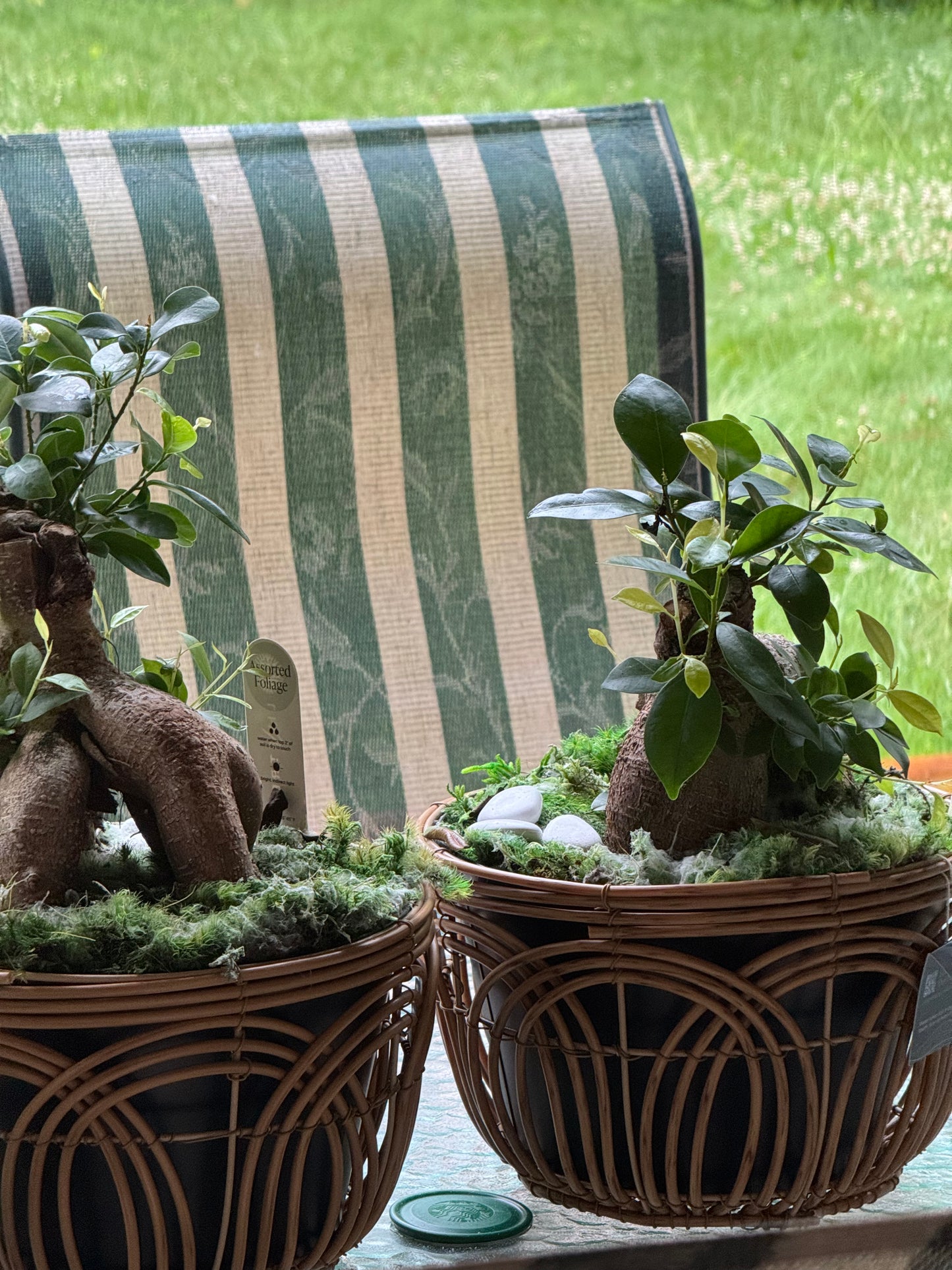 Quiet Cozy Stay Spacious Home Near Beach & Shops – large 4-bedroom vacation rental in Hamden, CT 06514 perfect for families and groups, private setting near shoreline and stores