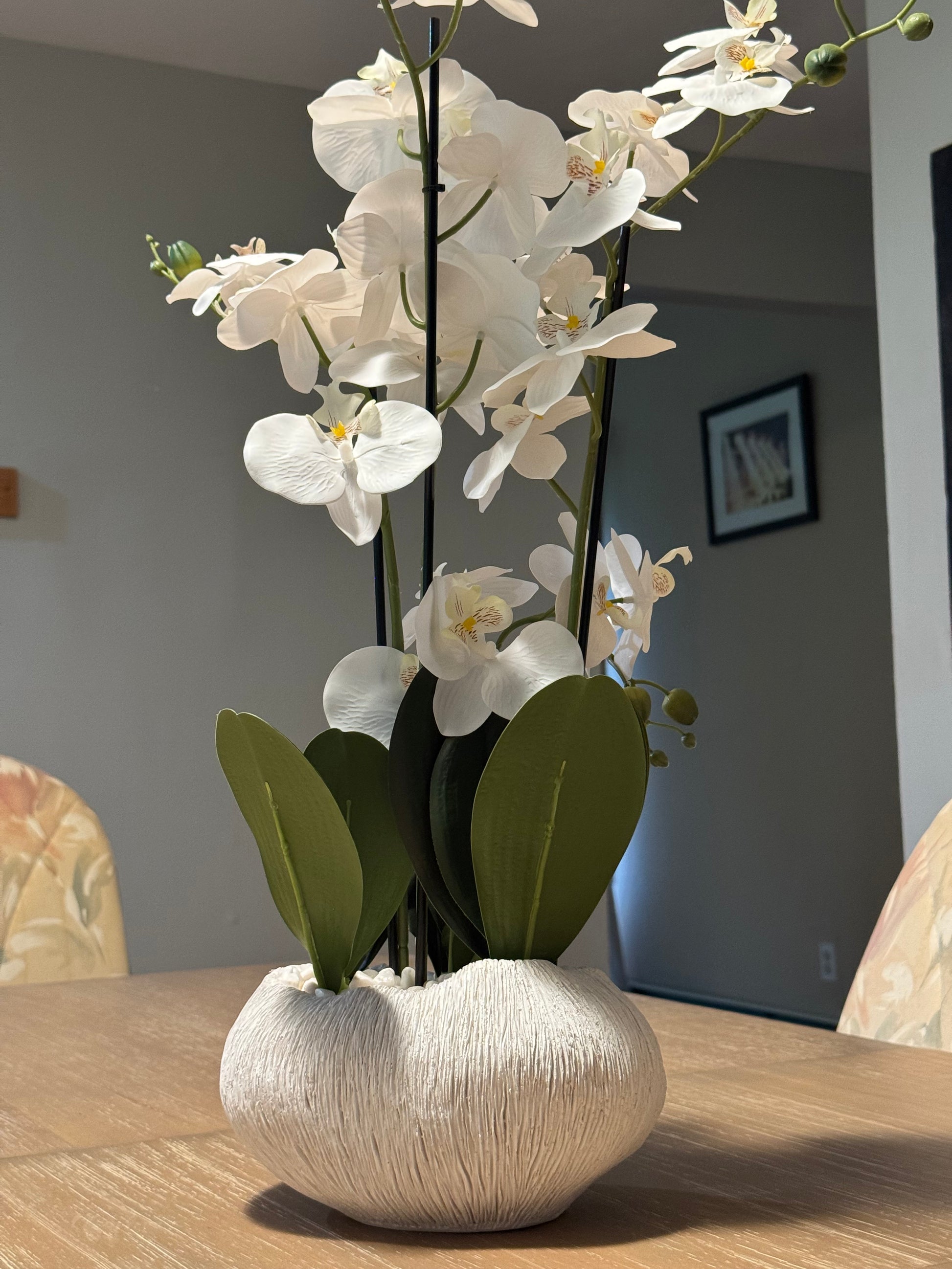 Quiet Cozy Stay Spacious Home Near Beach & Shops – large 4-bedroom vacation rental in Hamden, CT 06514 perfect for families and groups, private setting near shoreline and stores