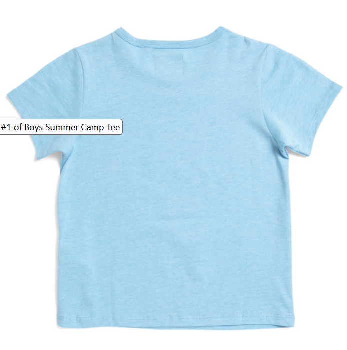Light blue boys short sleeve t-shirt with summer camp graphic on front and plain back