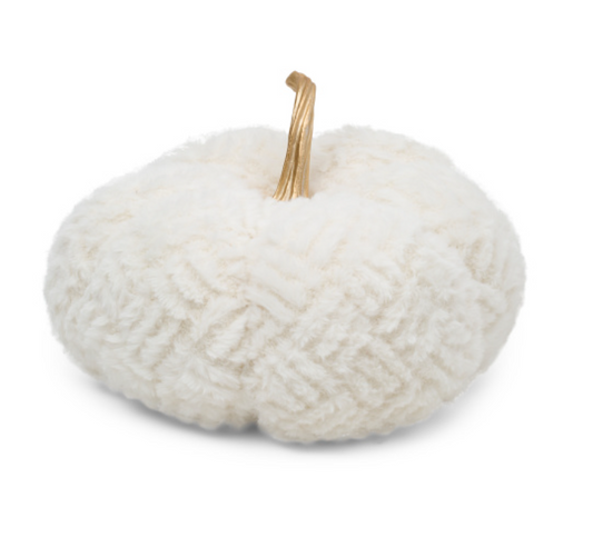 White textured pumpkin with a gold stem on a white background
