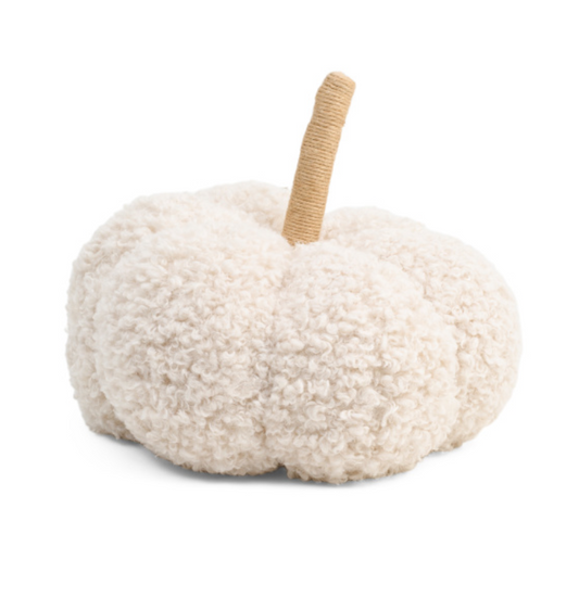White textured pumpkin with a brown stem on a white background