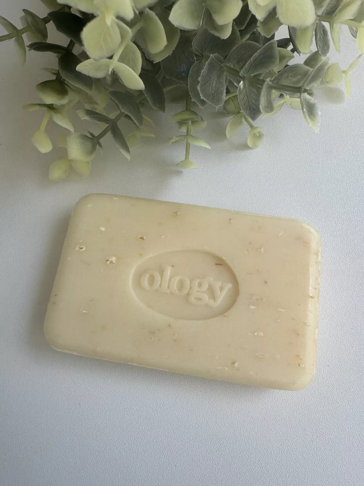 Ology Oatmeal Soap Bar, Natural Exfoliating, Sulfate-Free, Paraben-Free, Close-up view of soap with visible oats
